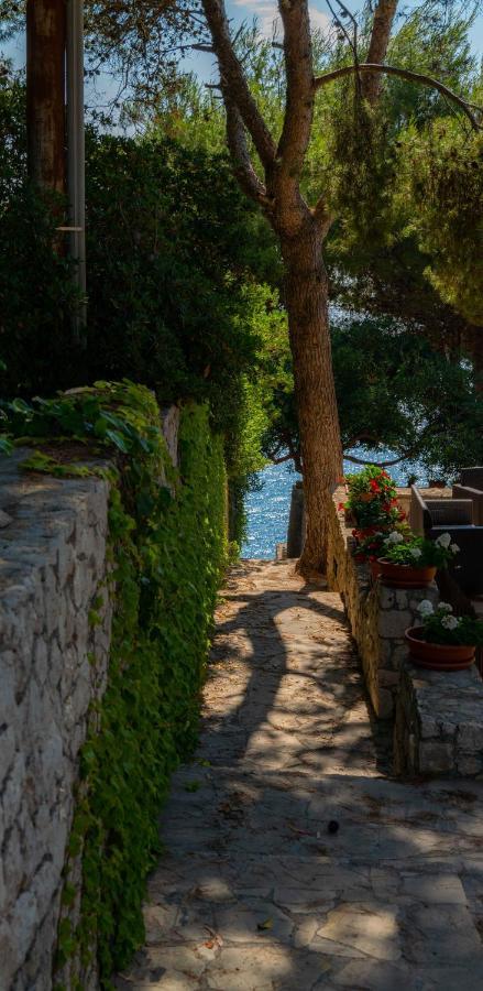 Porticelli Apartment Marittima Bagian luar foto